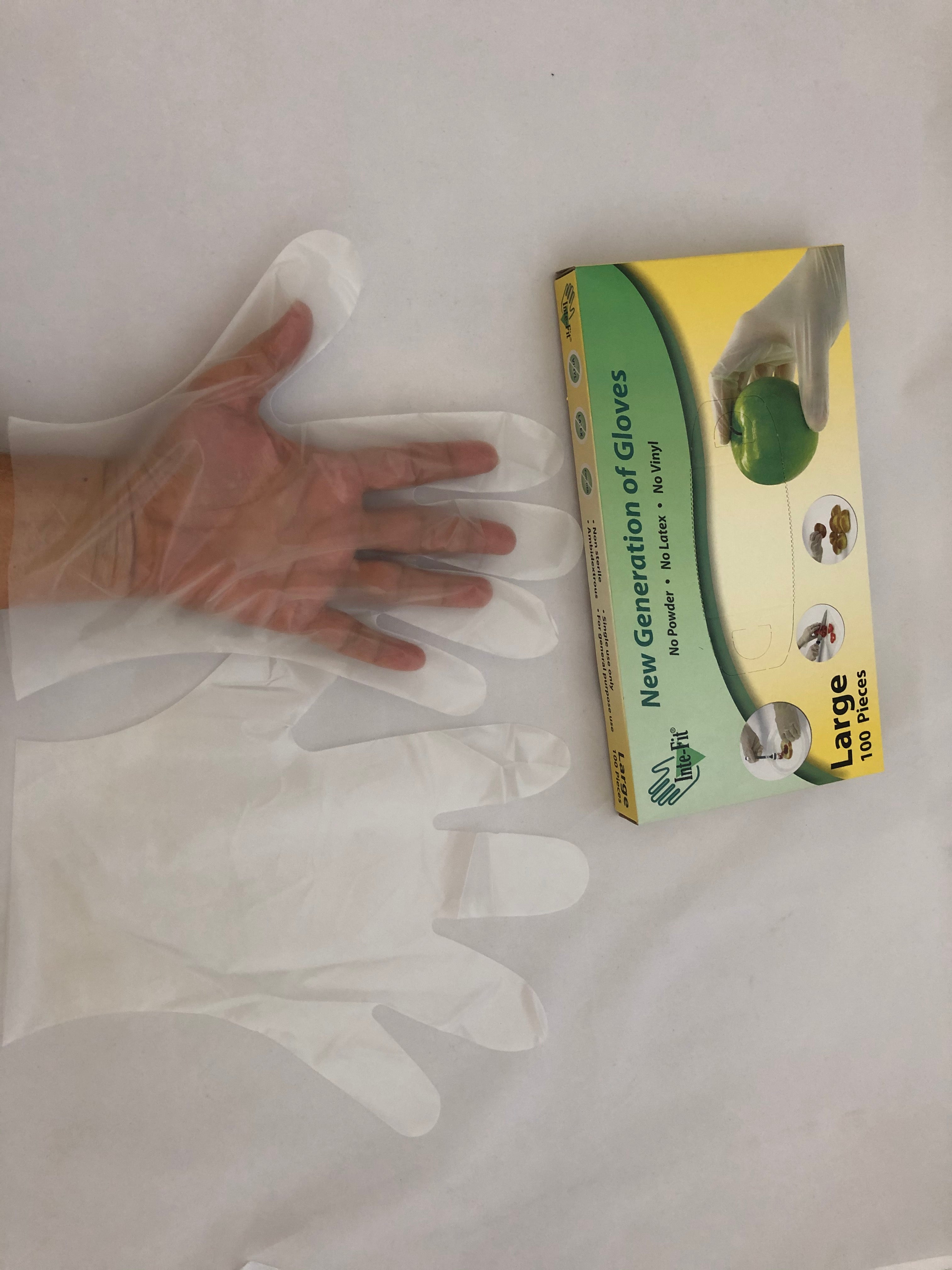 Vinyl Gloves Powder Free