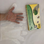 Vinyl Gloves Powder Free